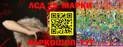 apvp Ставрополь