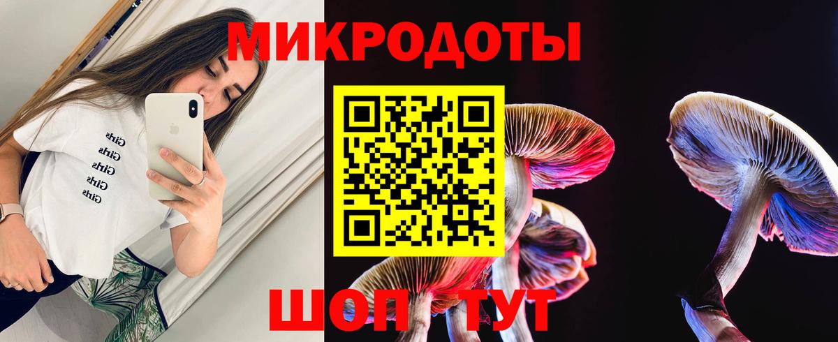 Галлюциногенные грибы мухоморы Нововоронеж